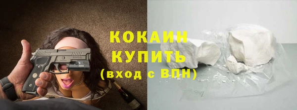 mix Ельня