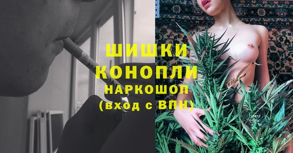 mix Ельня
