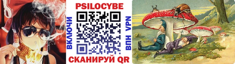 Купить закладки  Ветлуга  Галлюциногенные грибы мицелий 
